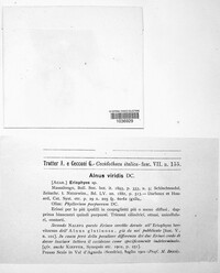 Image Associated With the Occurence